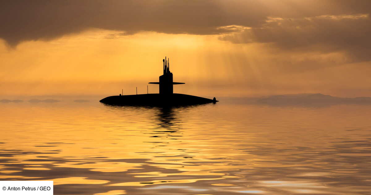 A 43-Meter Long Monster