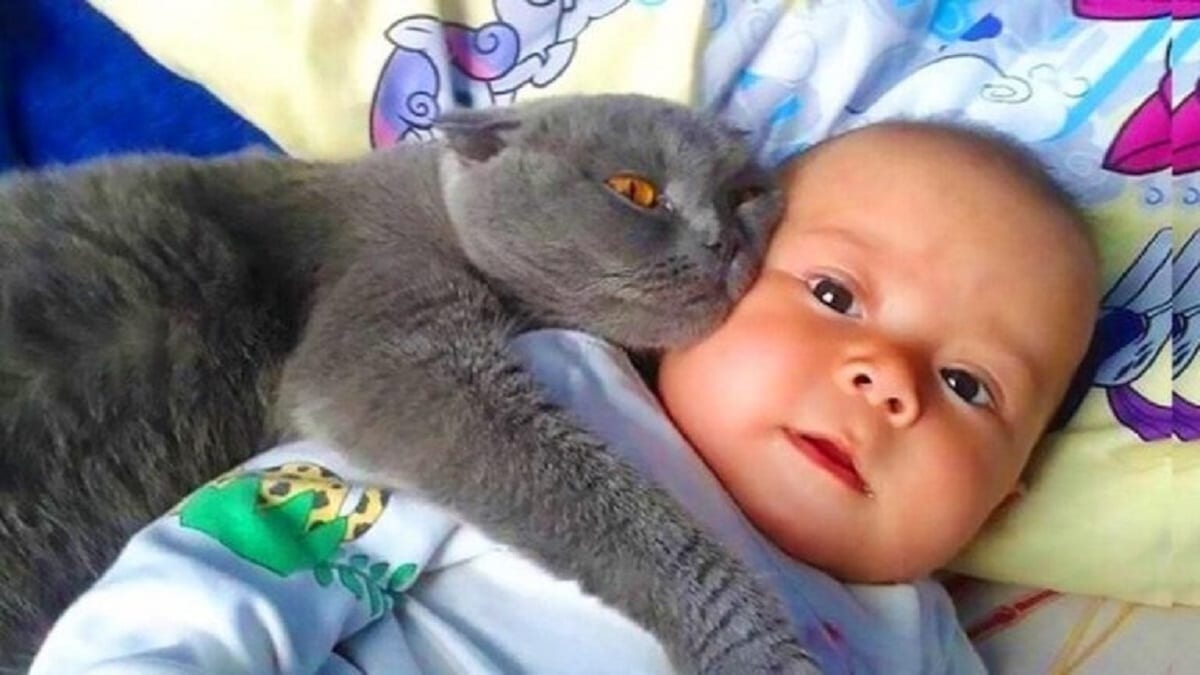Their Cat Refuses To Leave Their Baby Alone