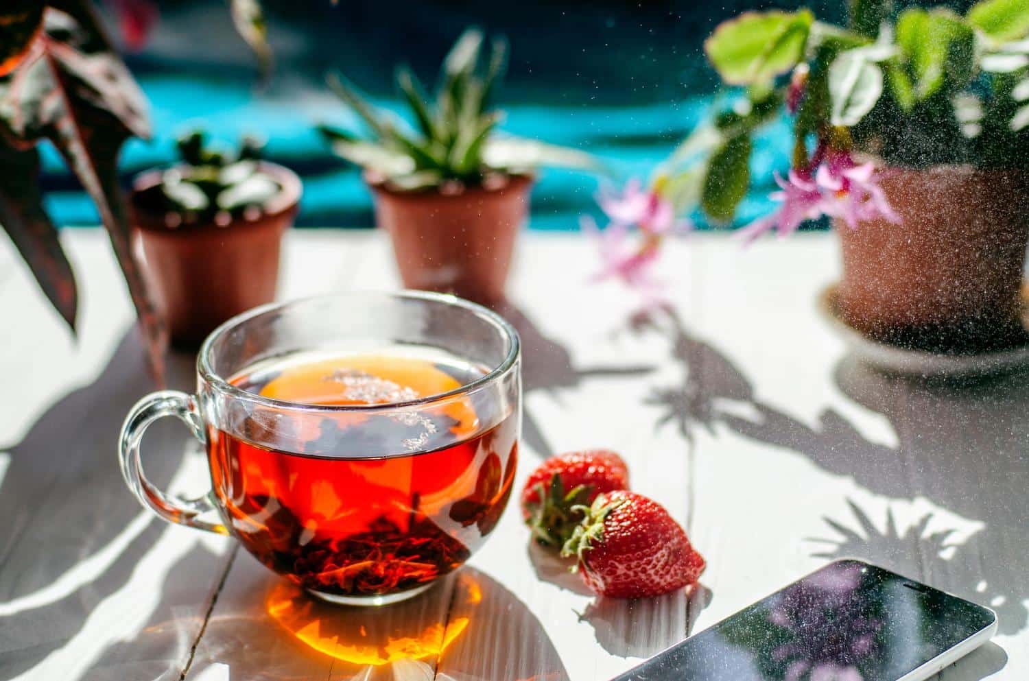 Pour révéler tous les arômes du thé, les connaisseurs respectent toujours cette règle d'or