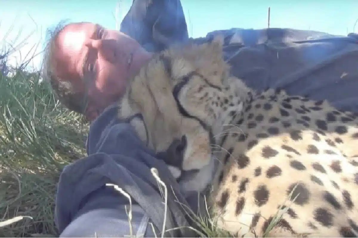 5 Wildlife photographer