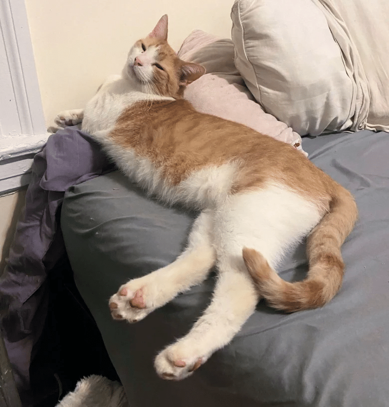 Living His Best Life