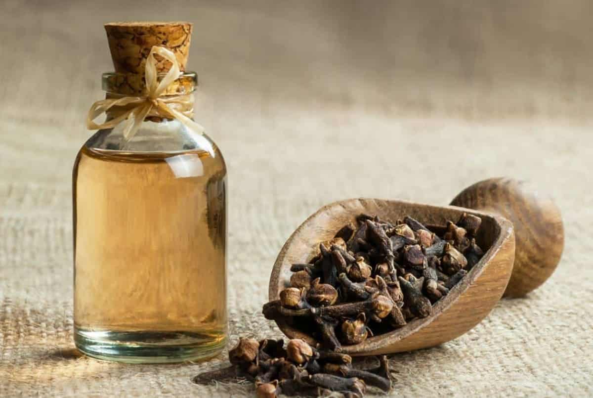 Repel Gnats With Lemon and Cloves