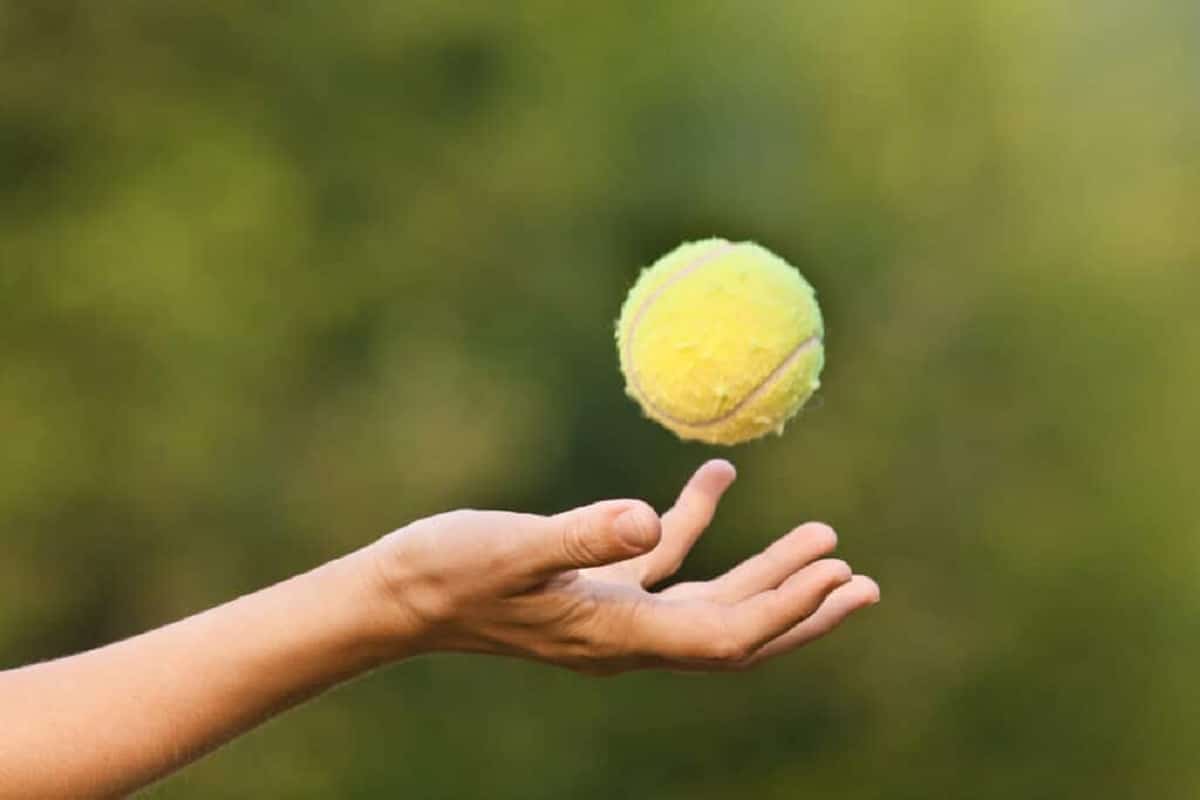 Why placing tennis balls in your garden
