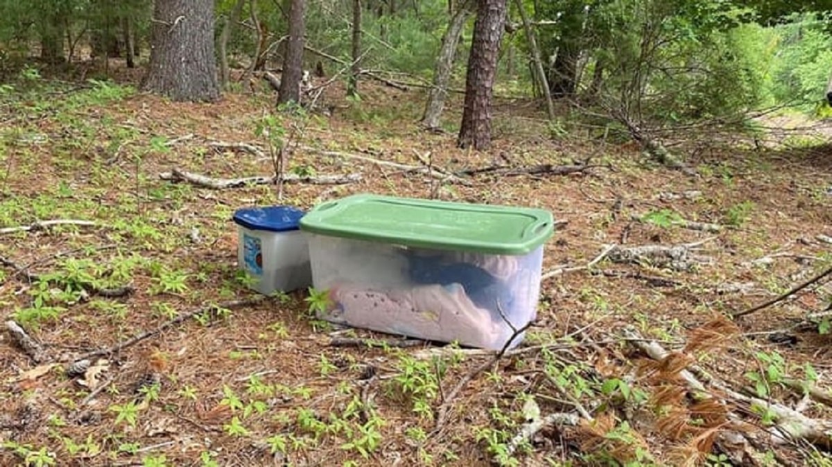 A Hiker Discovers a Plastic Box