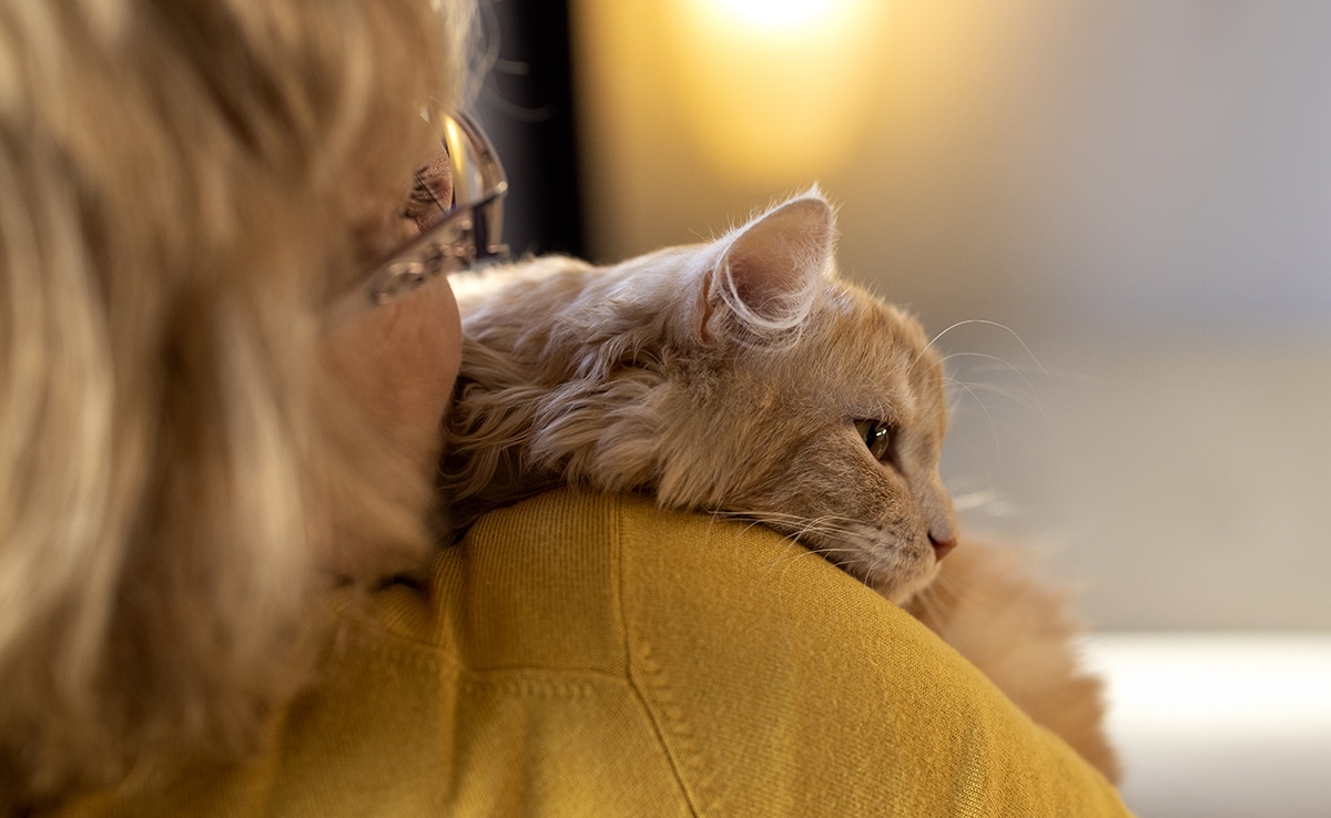 Brad Pitt Teams Up With a Divisive Director