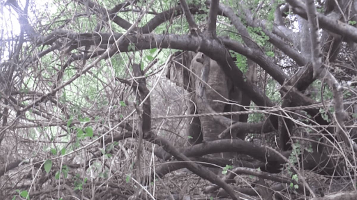 Marines Jump Into the Water _ 3