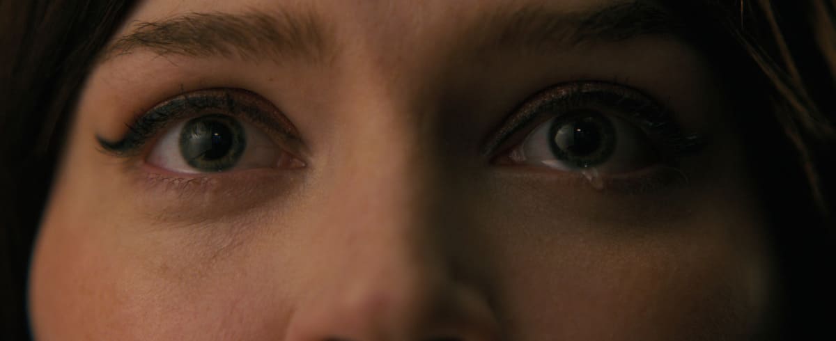 Bizarre Horror Film Are Rolling In