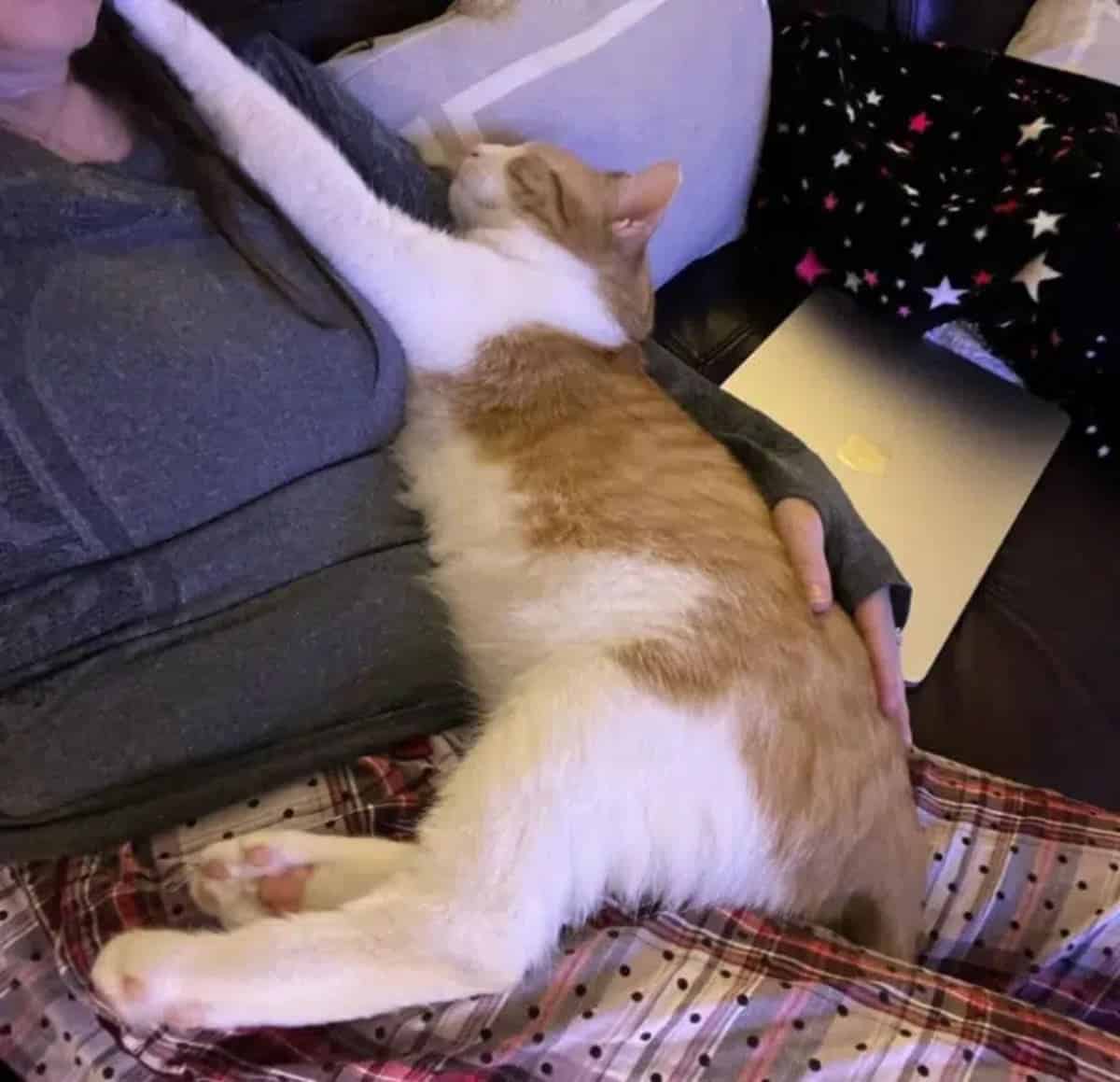 A New Chapter of Happiness