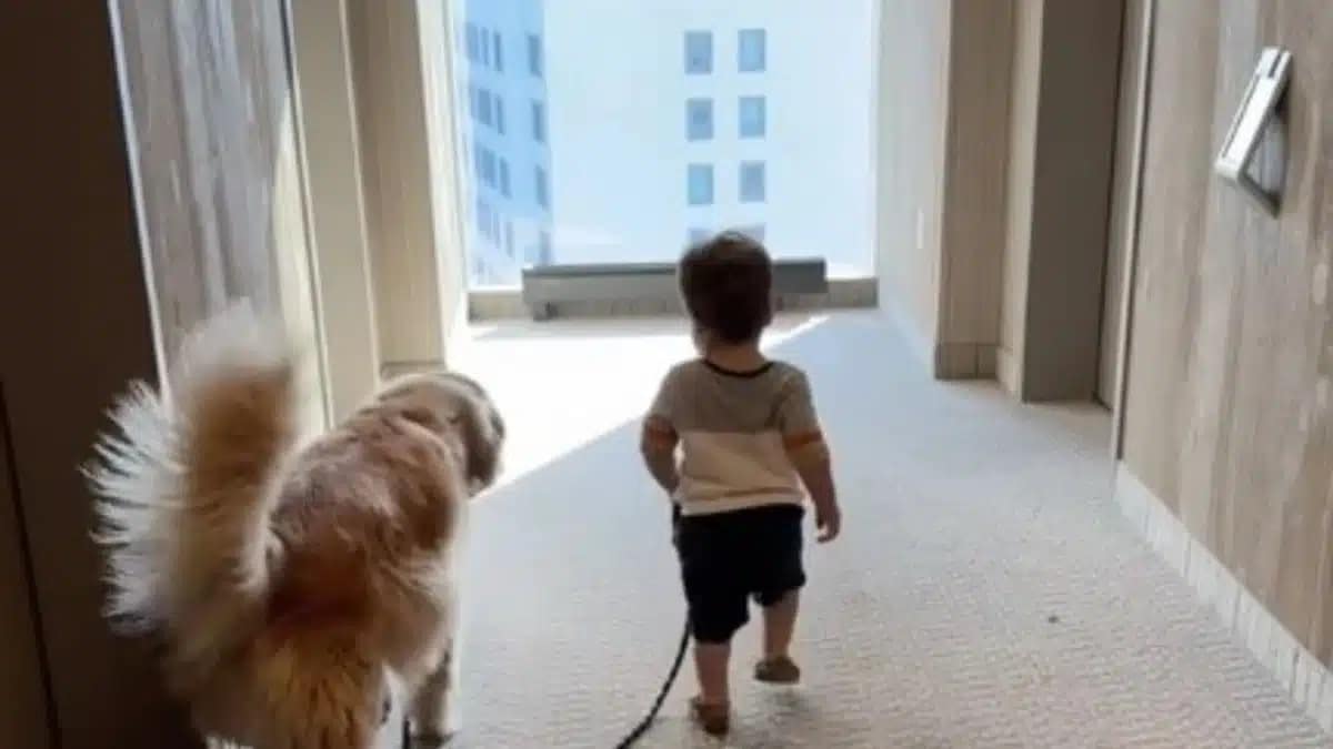 Parents of a baby and a dog