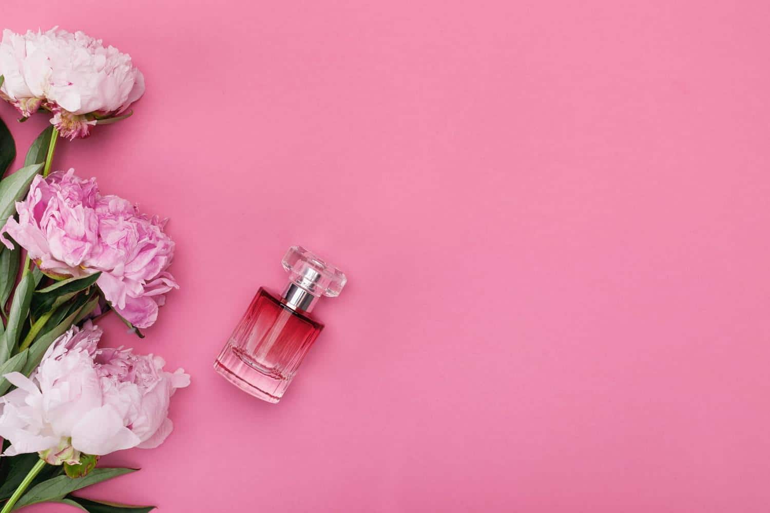 Peu de gens le savent, cette molécule présente dans les parfums rendrait plus attirant selon la science