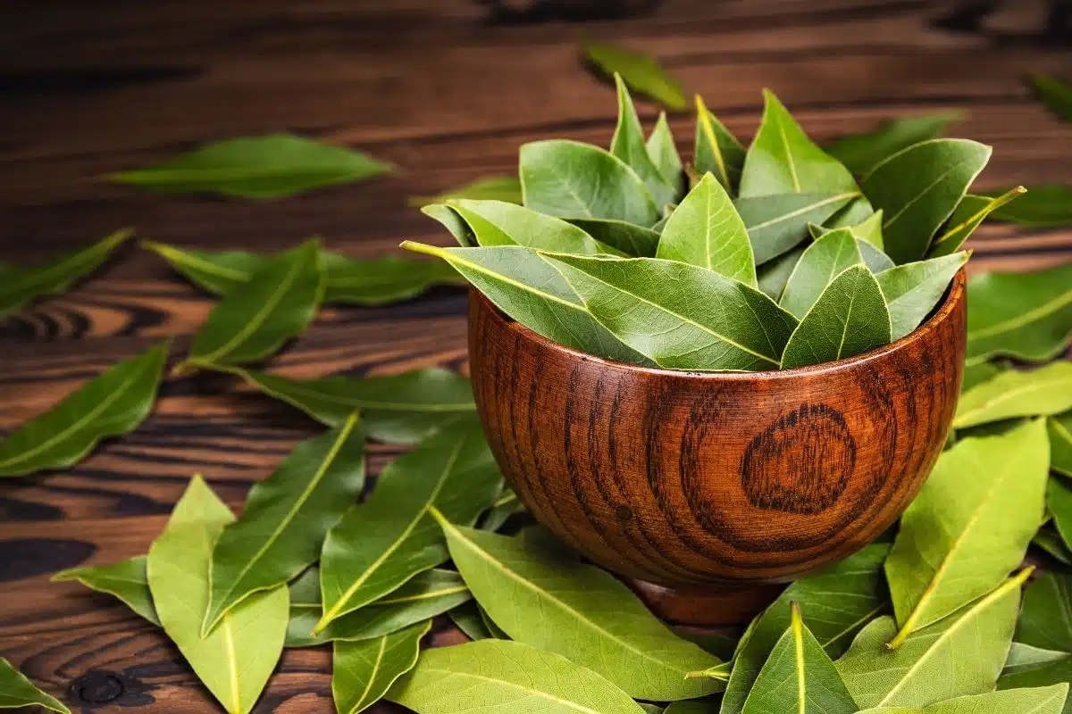 Solve four common household problems