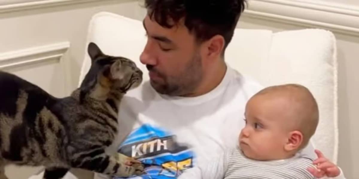 Cat disrupts storytime