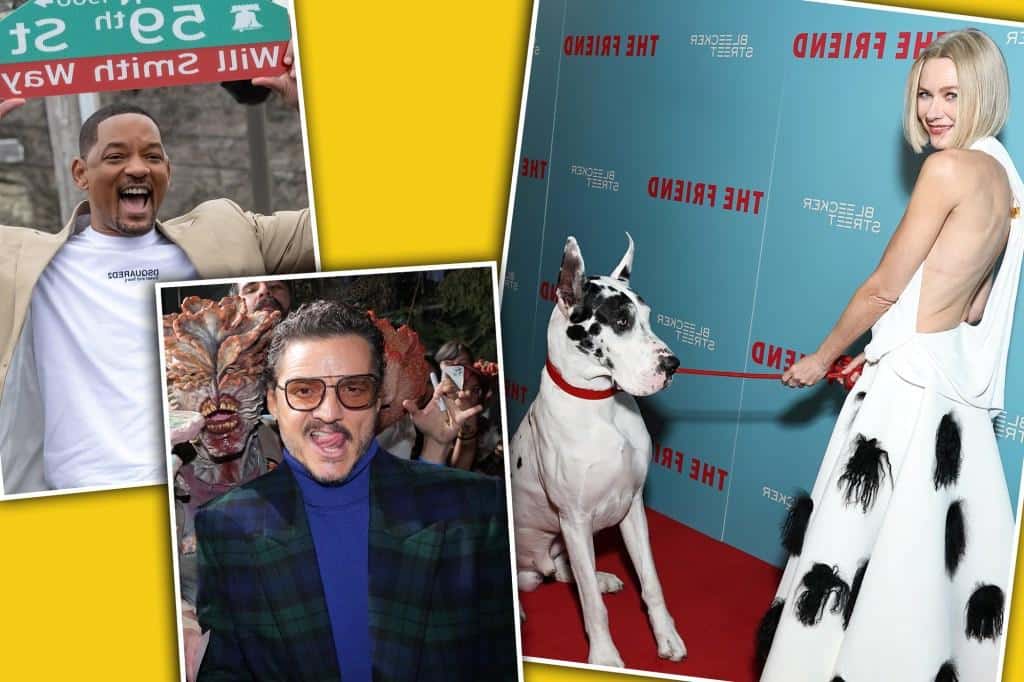 Best star snaps of the week: Naomi Watts, Will Smith and more