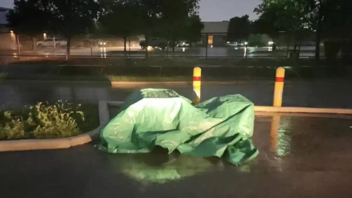 a Heartbreaking Discovery