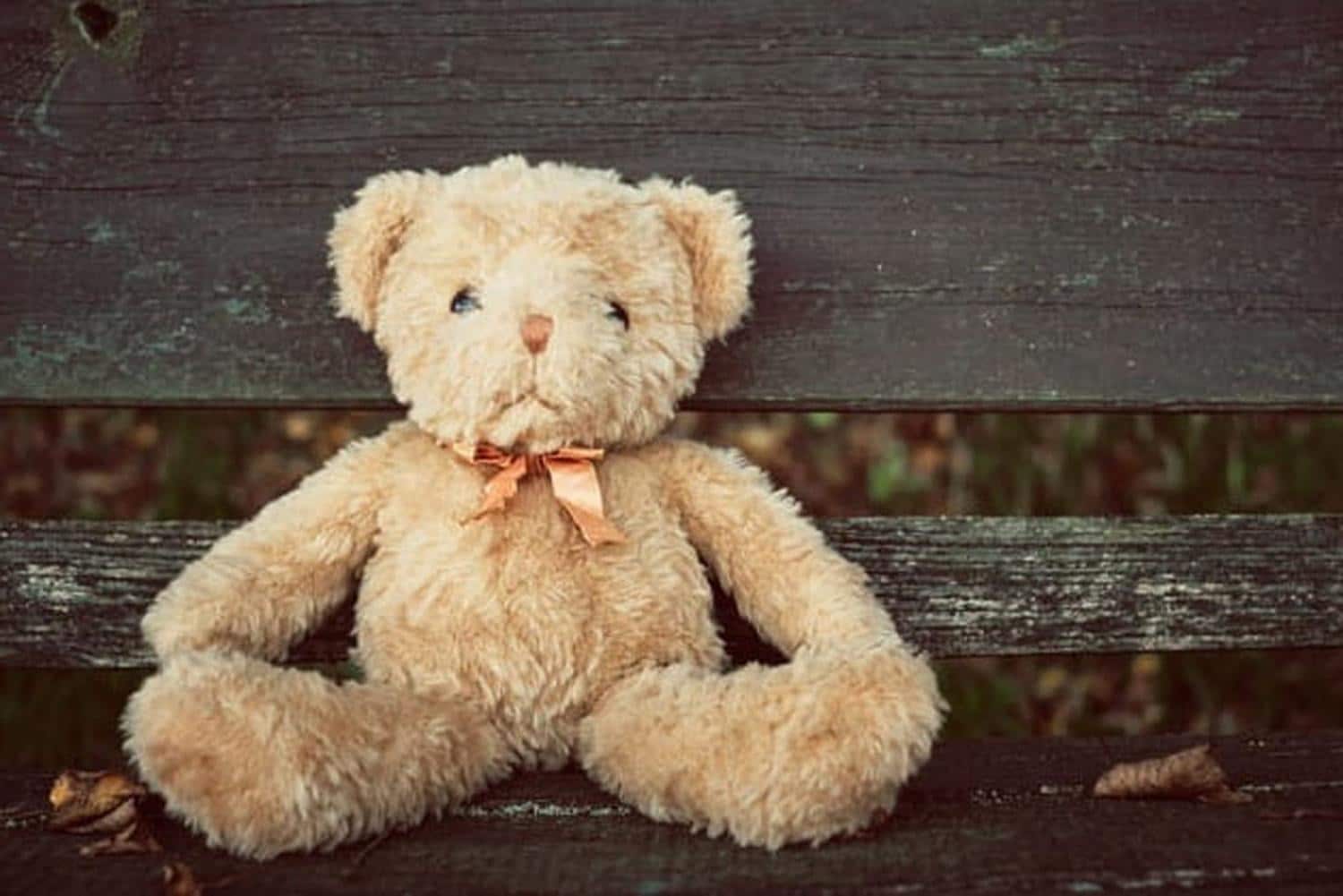 Mon enfant a perdu son doudou, que faire ?