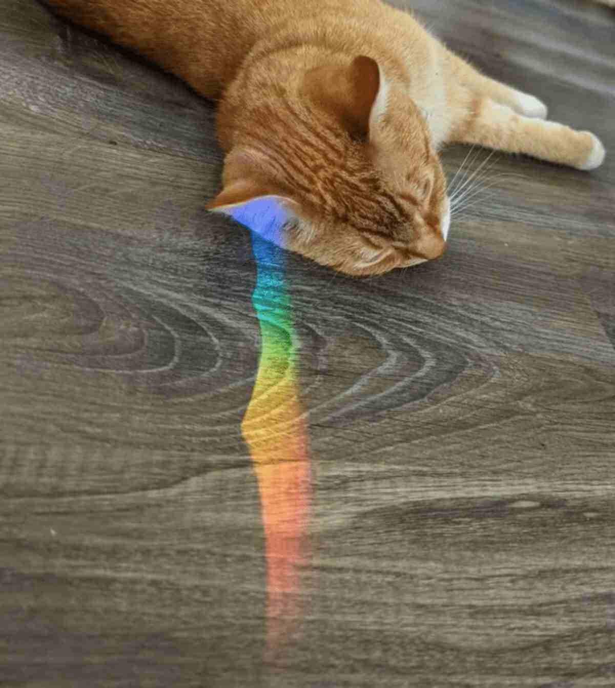 Radiating warmth and magic