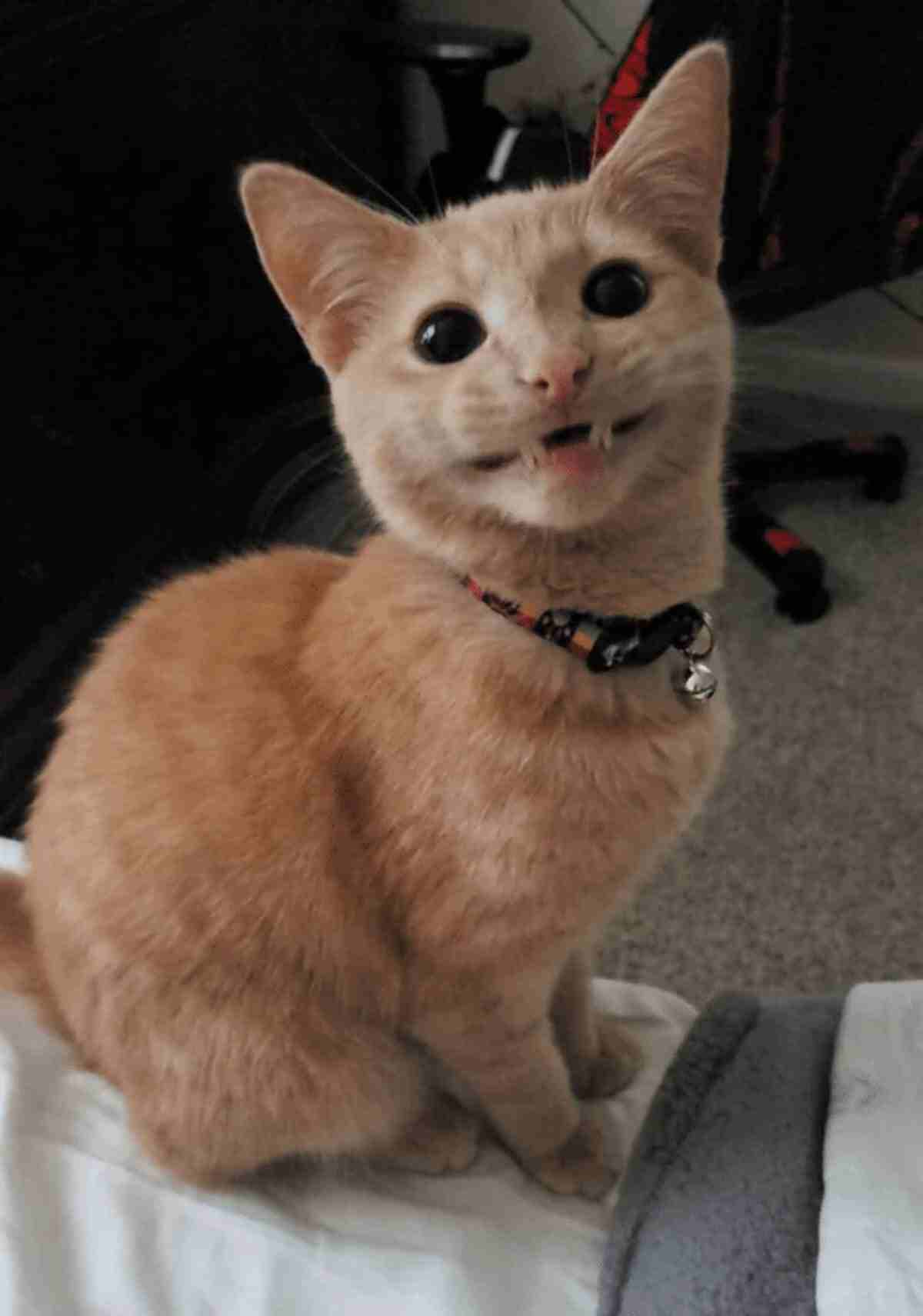 smile that melts hearts