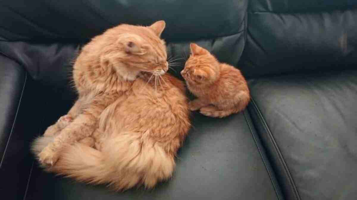 Teaching lessons with love