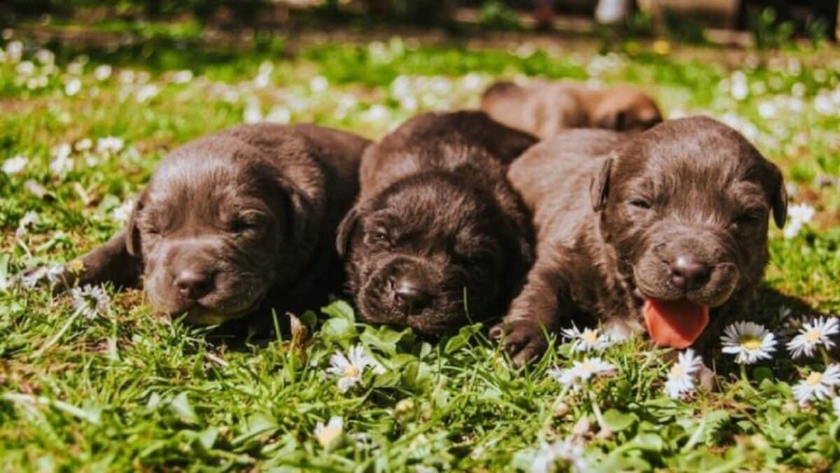 When Everything Fell Apart