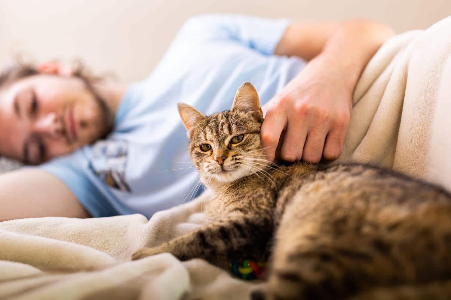 Selon une étude, votre chat modifie son ronronnement pour vous manipuler tous les jours