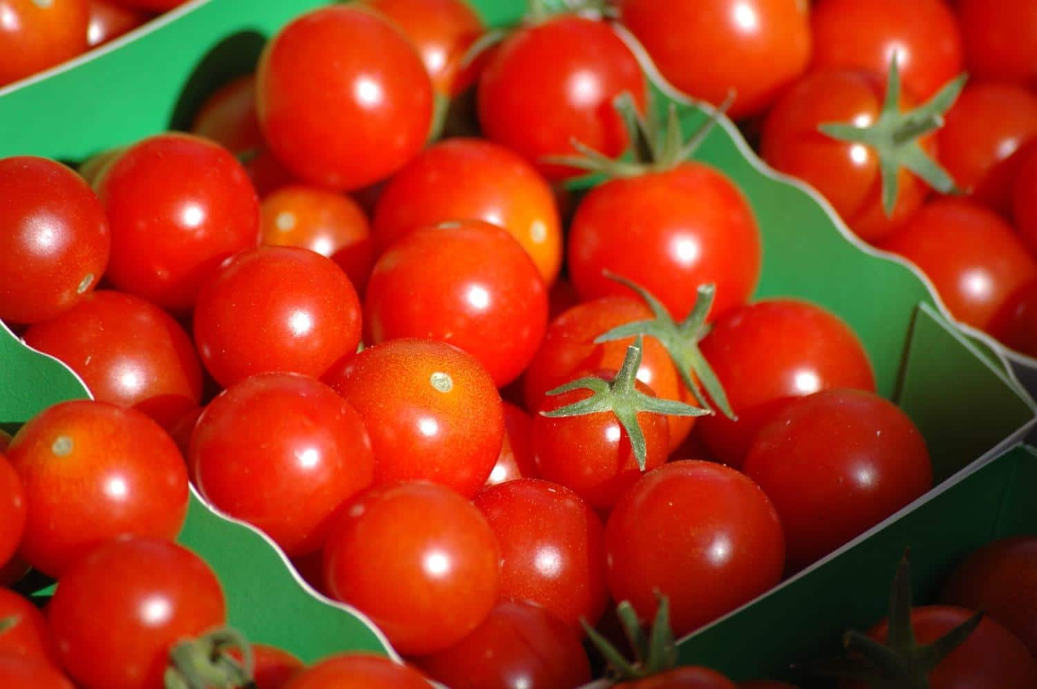 L'UFC-Que Choisir alerte : les tomates produites dans ce pays sont nettement plus chargées en pesticides