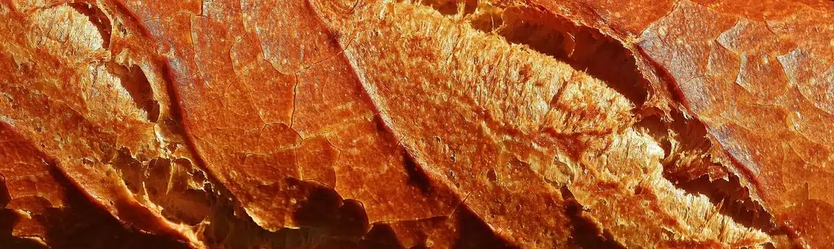 Tartines au rillettes de poulet avec câpres et fromage sur du pain grillé