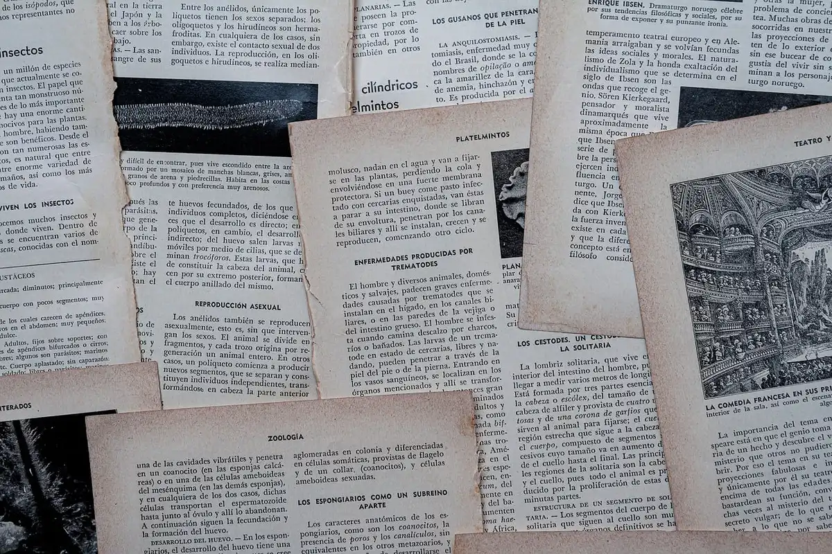 Livres d'histoire anglaise anciens sur une étagère de bibliothèque.
