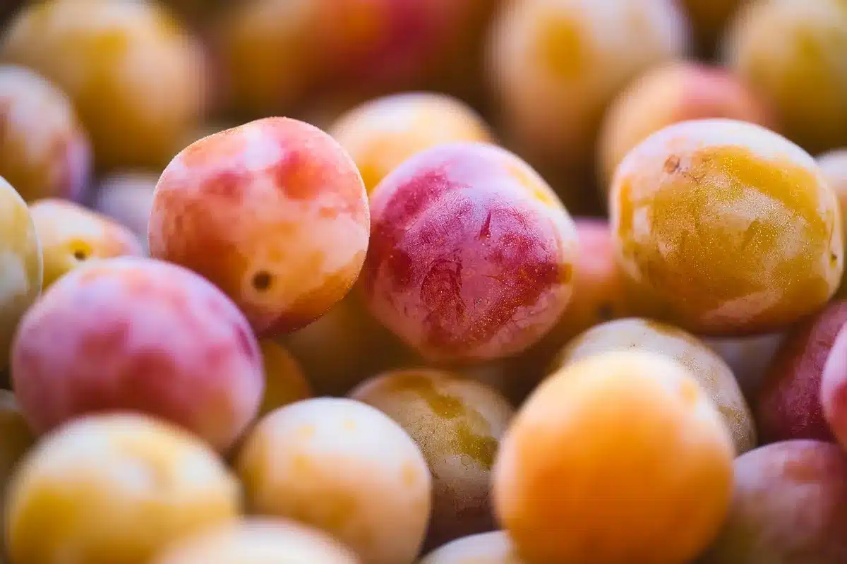 Mirabelle plums, granulated sugar, and lemon juice arranged as jam ingredients