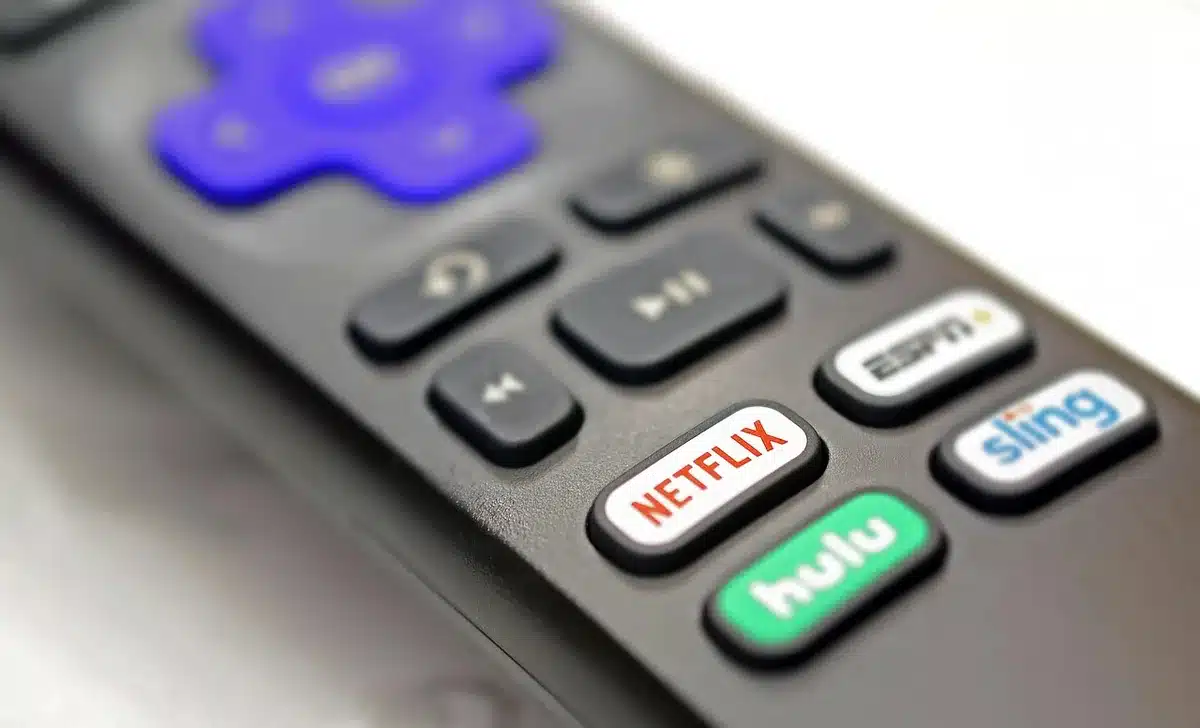 Remote control and TV screen showing live channel guide