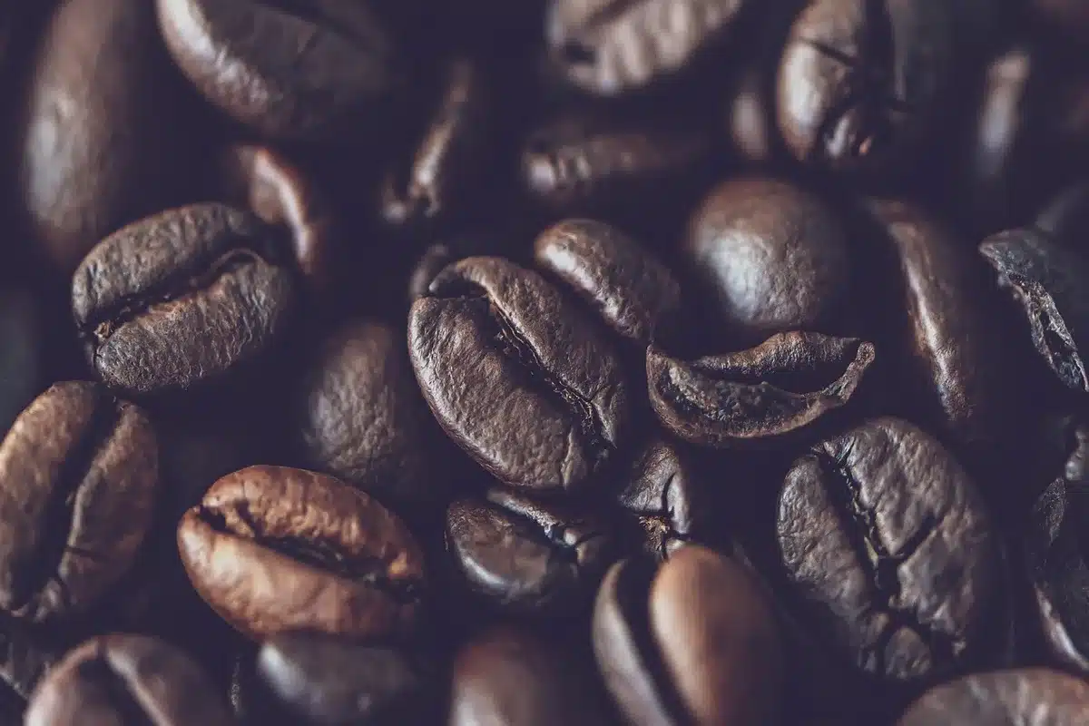Bags of roasted coffee beans on a shelf illustrating freshness concerns